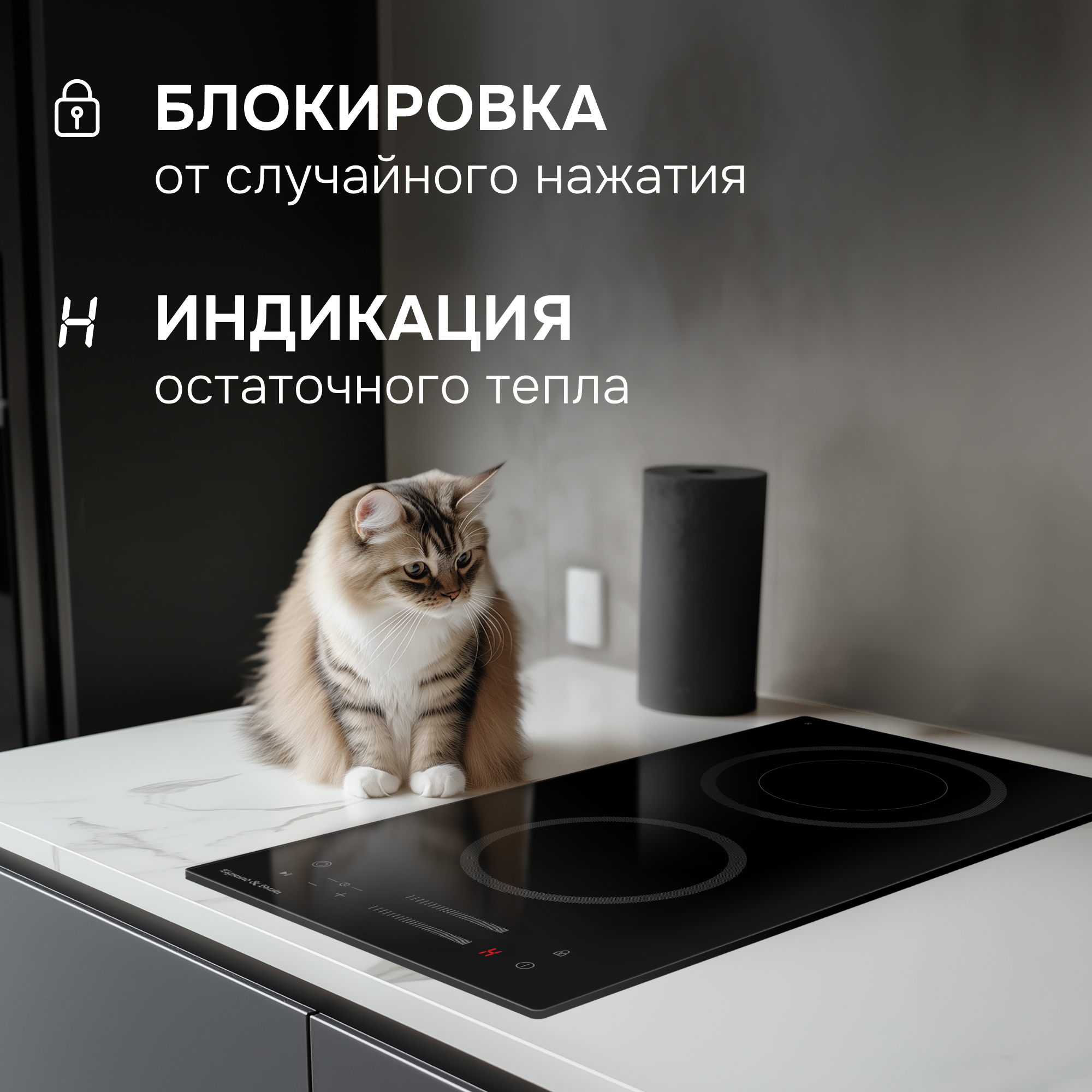 Zigmund & Shtain CN 53.3 B